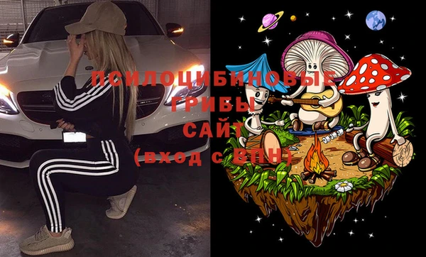 стафф Алексеевка