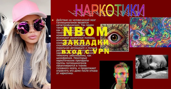 хмурый Алексин