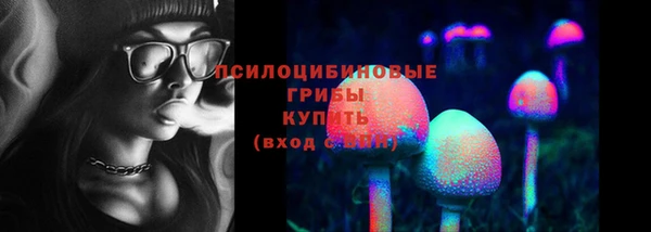 трава Алзамай
