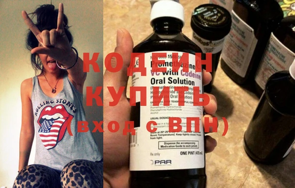 хмурый Алексин