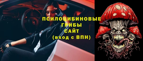 хмурый Алексин