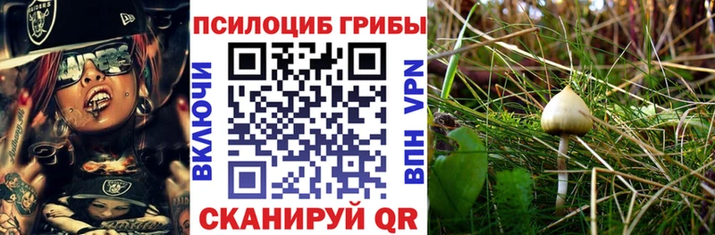 даркнет сайт  кракен онион  Галлюциногенные грибы мицелий  Зуевка 